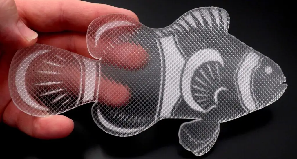 Genomskinlig plexiglas med med fisk motiv