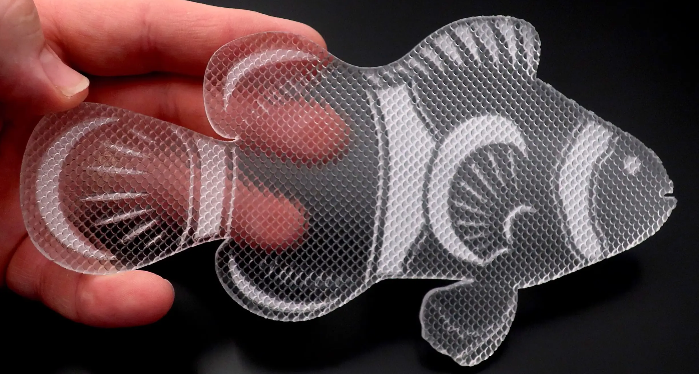 Genomskinlig plexiglas med med fisk motiv